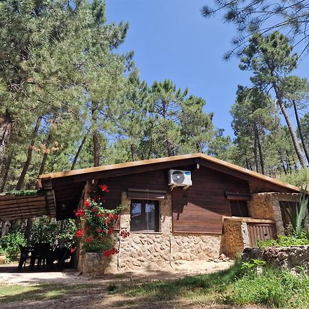 Cabana En Plena Naturaleza Parque Natural Rio Mundo Riópar Eksteriør billede