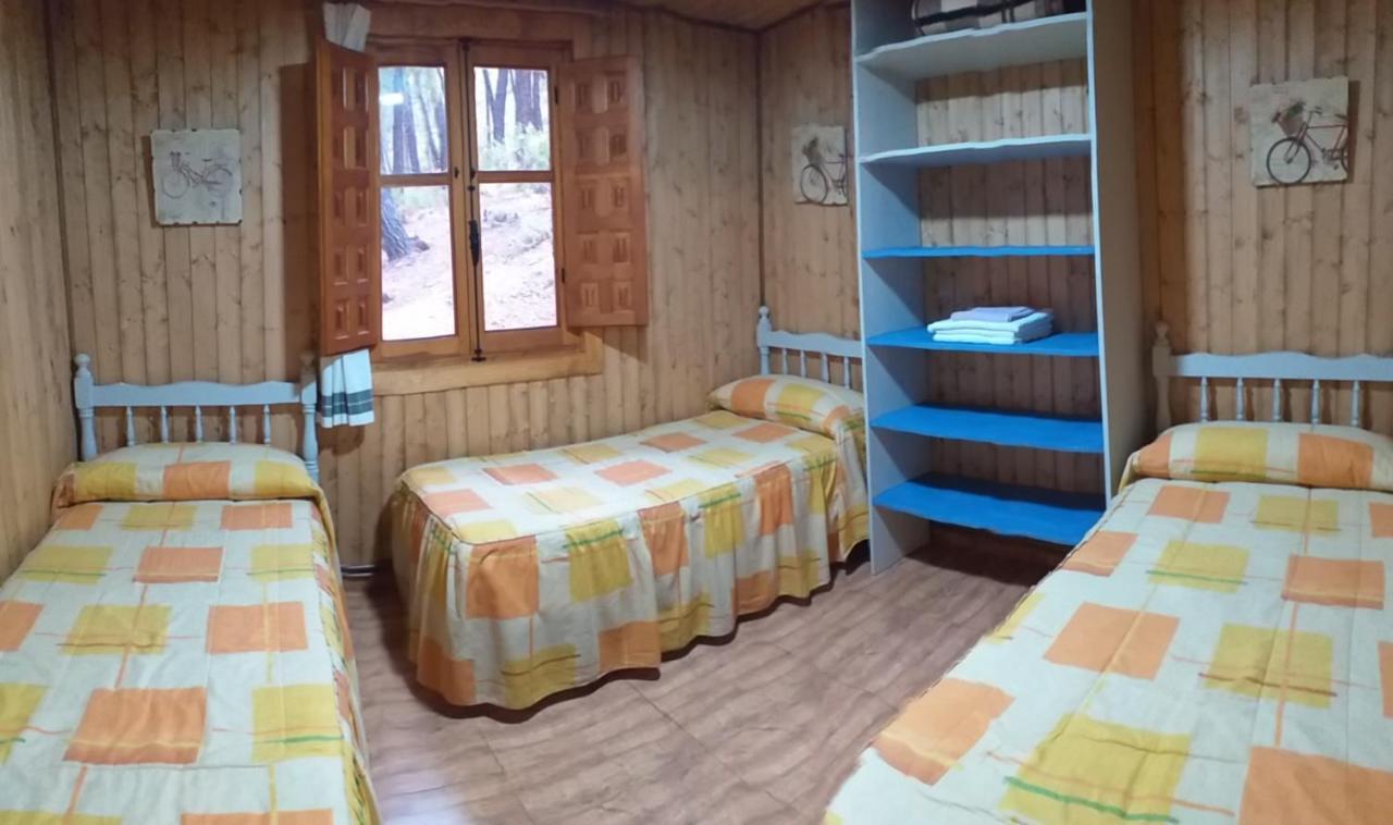 Cabana En Plena Naturaleza Parque Natural Rio Mundo Riópar Eksteriør billede