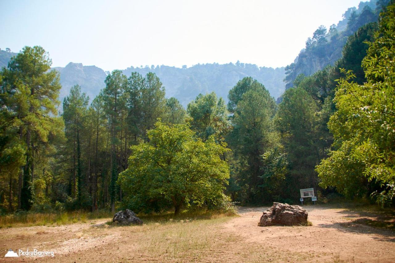 Cabana En Plena Naturaleza Parque Natural Rio Mundo Riópar Eksteriør billede
