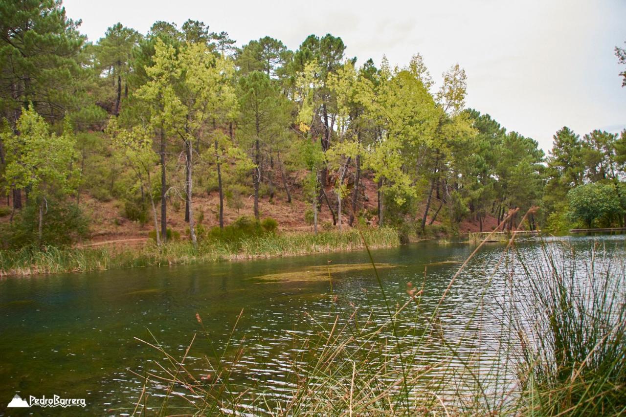 Cabana En Plena Naturaleza Parque Natural Rio Mundo Riópar Eksteriør billede
