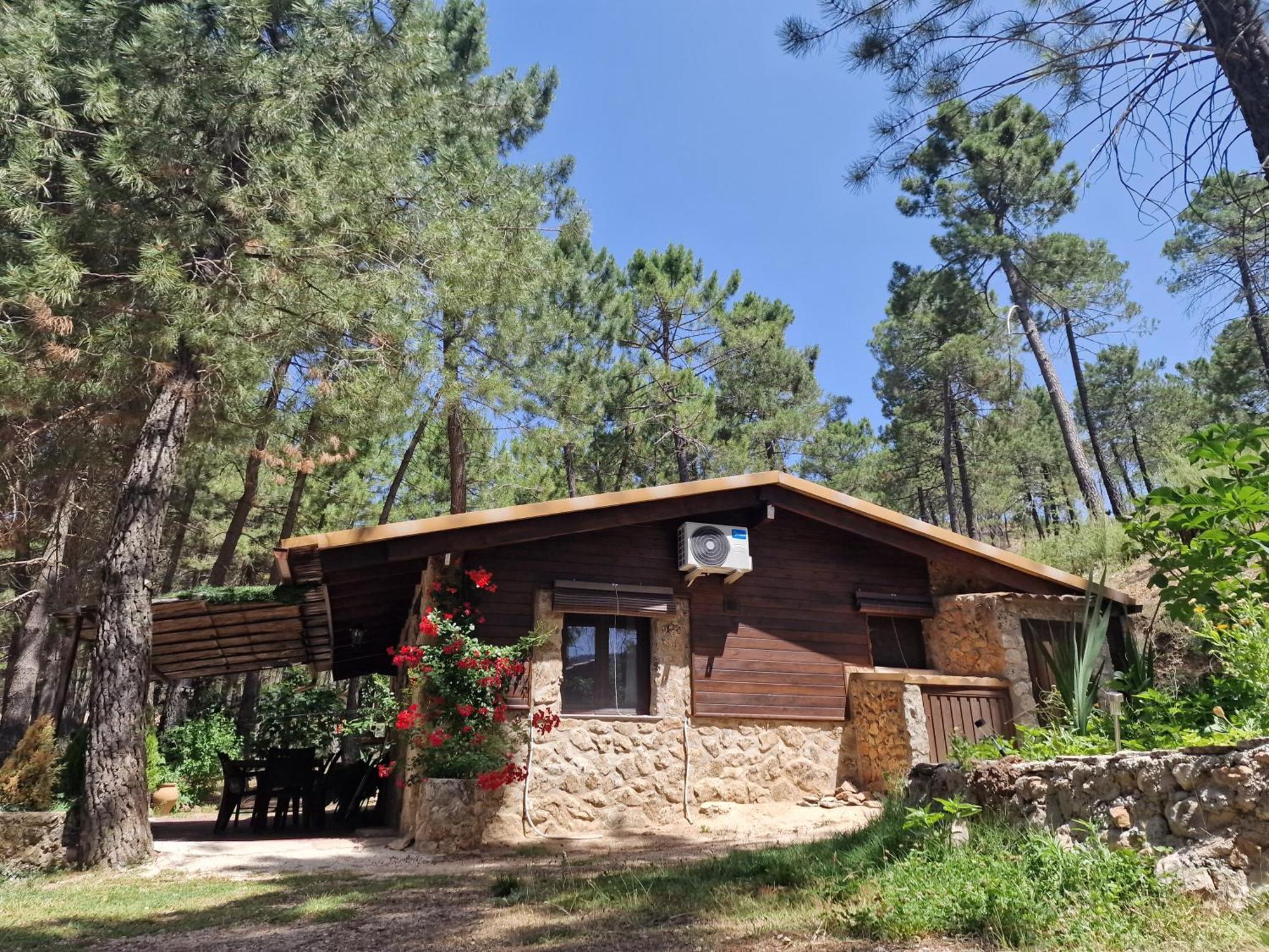 Cabana En Plena Naturaleza Parque Natural Rio Mundo Riópar Eksteriør billede