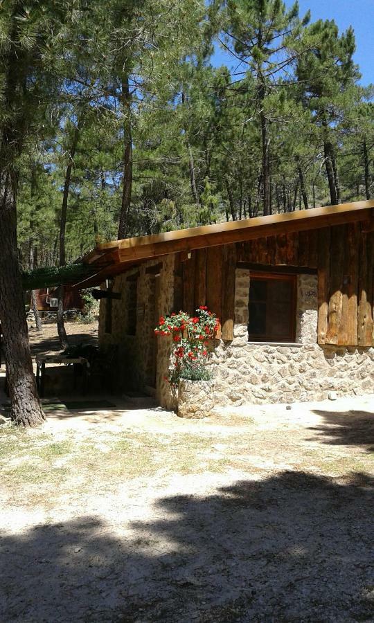 Cabana En Plena Naturaleza Parque Natural Rio Mundo Riópar Eksteriør billede