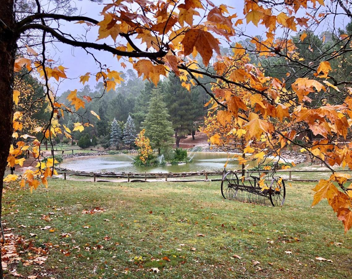 Cabana En Plena Naturaleza Parque Natural Rio Mundo Riópar Værelse billede